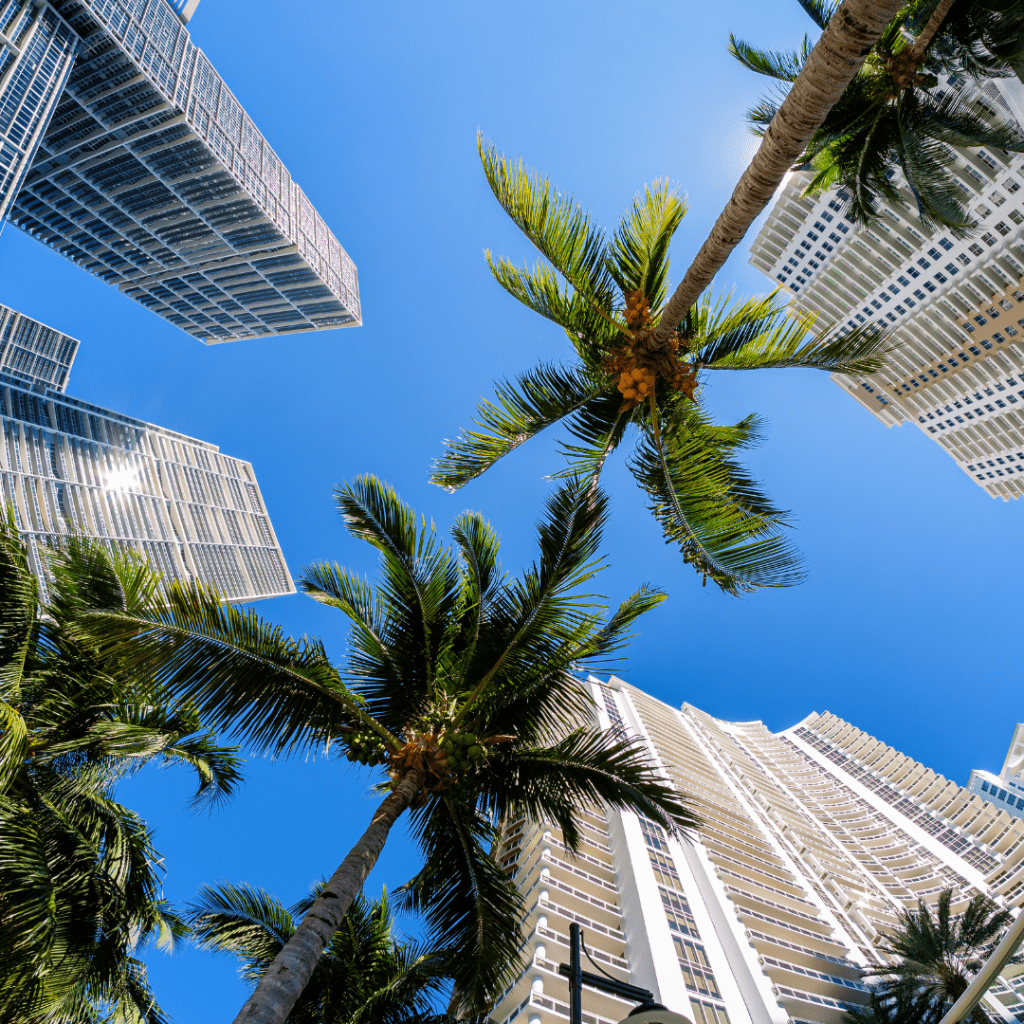 marketing agency in coral gables