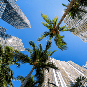 marketing agency in coral gables